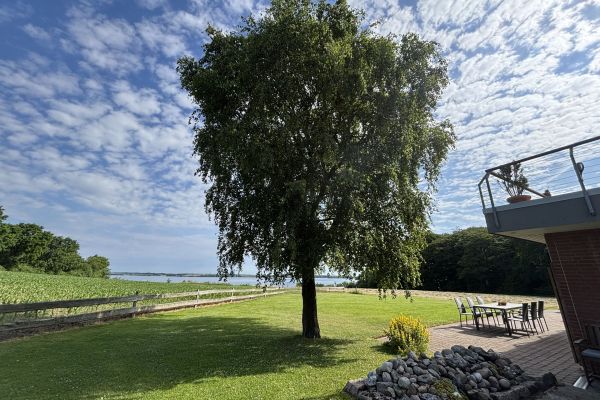 Garten mit großem Baum, im Hintergrund die Ostsee